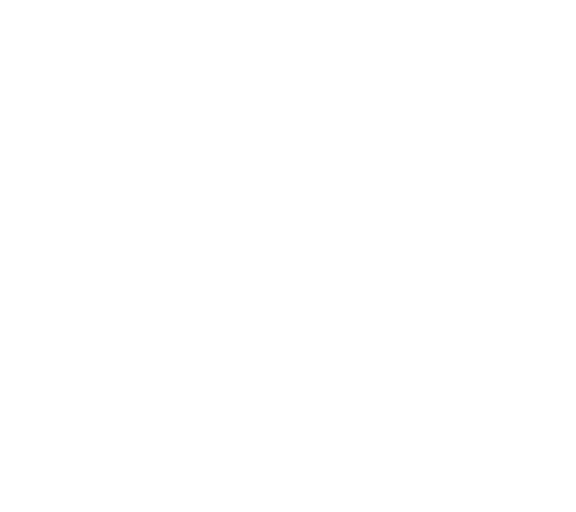 Golden star icon, representing premium quality food at Wings Avenue.